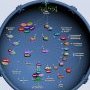 BRCA1 and chromatin remodeling