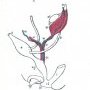 Primitive urogenital organs in the embryo previous to sexual (...)