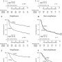 Impact of HPV-associated p16-expression on radiotherapy outcome in advanced (...)