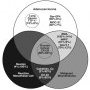 Immunochemistry of effusion cytology