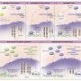 Consequences of tumoral chromosomal rearrangements