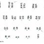 t(2;5)(p23;q35) creating NPM1/ALK fusion gene