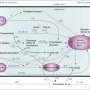 Axonal transport and Alzheimer disease