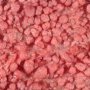 Familial adenomatous polyposis (FAP)