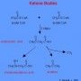 AcetylCoA and ketone bodies