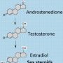 Sex steroid hormons