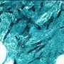 Fungal vasculitis in systemic invasive aspergillosis