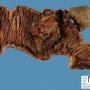 Intestinal invagination and perforative necrosis on Meckel diverticula
