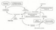 Folate-homocysteine cycle