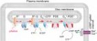 Visual detection pathway