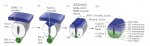 SHH/BMPs gradients in neural tube closure