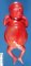 Fetal ascites in hydrops fetalis (fetus, 19 weeks)