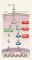 The Ras signaling pathway