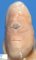 Cyclopia