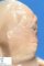 Cyclopia