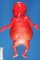 Fetal ascites in hydrops fetalis (fetus, 19 weeks)