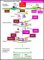 NER pathway and transcription-coupled repair (TCR)