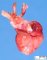 Left ventricle hypoplasia with aortic arch hypoplasia (Fetus)