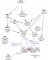 FOXO3A and DNA damage