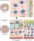 Asthma pathogeny