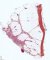 Hypodermis and fascia