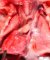 Left ventricle hypoplasia with aortic arch hypoplasia (Fetus)