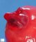 Exencephaly in an amniotic band syndrome