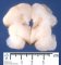 Fetal brain 22 weeks