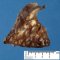 Bronchiectasis and BALT hyperplasia (Case 11750)