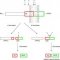 APP-processing pathways