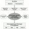 Model of disease pathways in tauopathies.