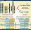 Fusion genes and fusion transcripts
