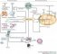 Molecular pathways of Parkinson disease