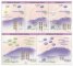 Consequences of tumoral chromosomal rearrangements
