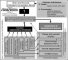 Physiopathology