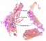 Thyroglossal tract and hyoid bone