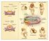 Neural tube defects (N Engl J med)