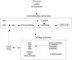 Purine metabolism