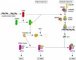 ATM molecular pathway.