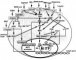 MITF signaling