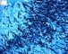 Invasive pulmonary aspergillosis
