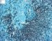 Aspergillus fumigatus invasive infection (pulmonary invasive (...)