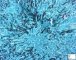 Aspergillus fumigatus invasive infection (pulmonary invasive (...)