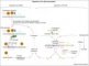 PSENs and lipid-controlled intramembrane proteolysis