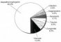 Etiologies of epilepsy
