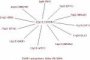 EWS partners in fusion genes