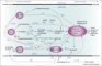 Axonal transport and Alzheimer disease