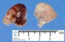 Absence of pulmonary lobation
