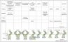 TLRs, TLR ligands and TIR-domain-containing adaptor proteins. (Trends Mol (...)